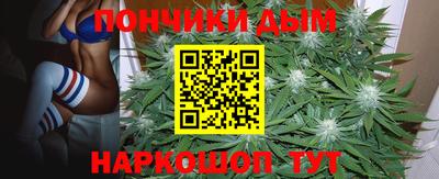 крисы Ирбит