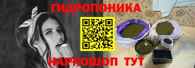 крисы Ирбит